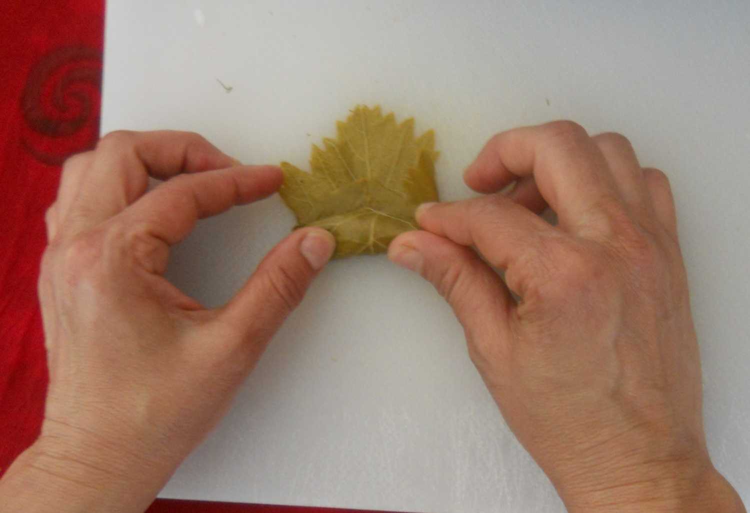 Weinblatt dann zu einer festen Rolle vollständig einrollen. Weinblatt dann zu einer festen Rolle vollständig einrollen.